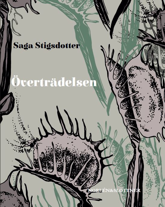 Överträdelsen (beg) - Saga Stigsdotter