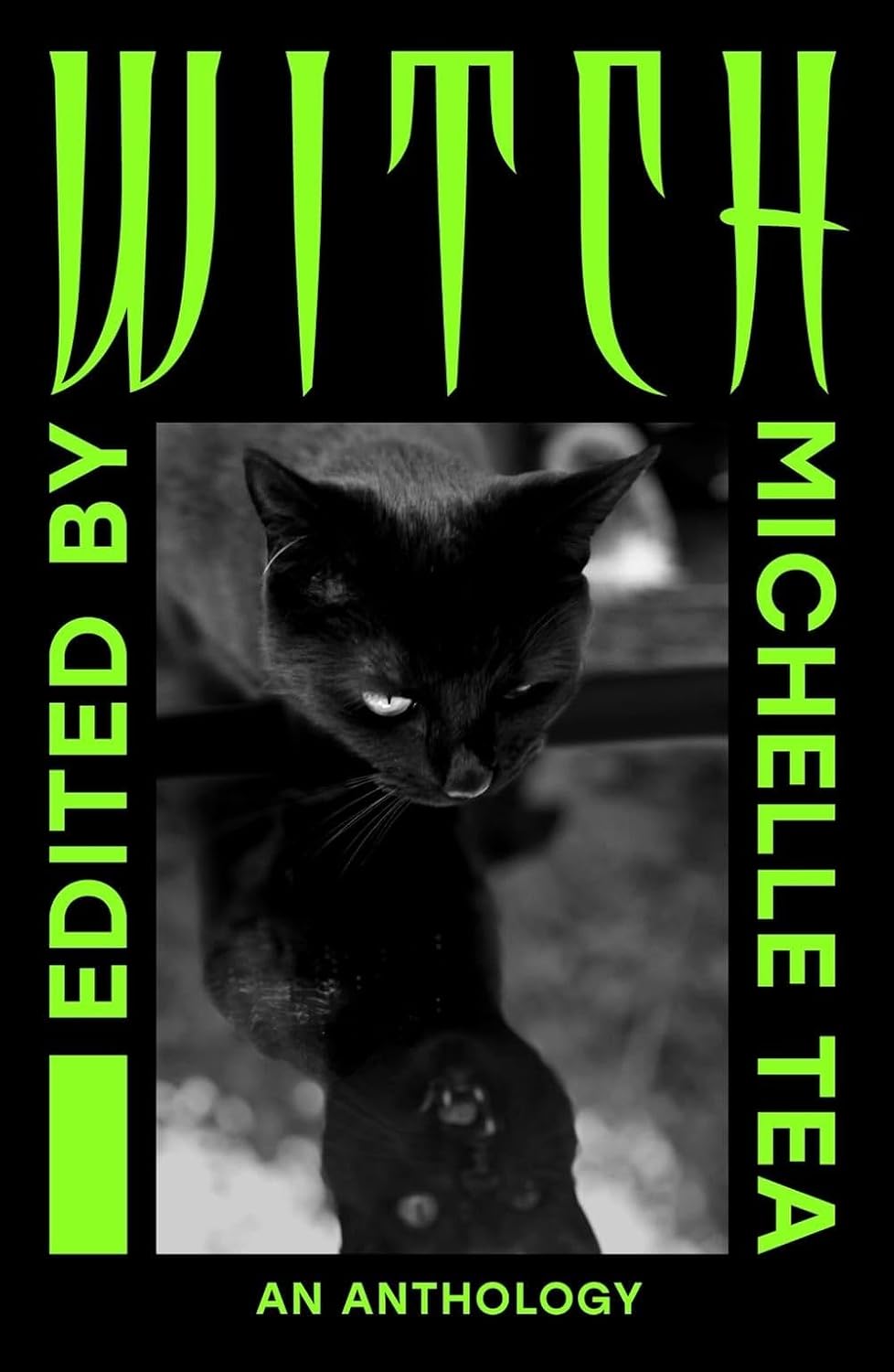 WITCH : An Anthology - Michelle Tea (editor)