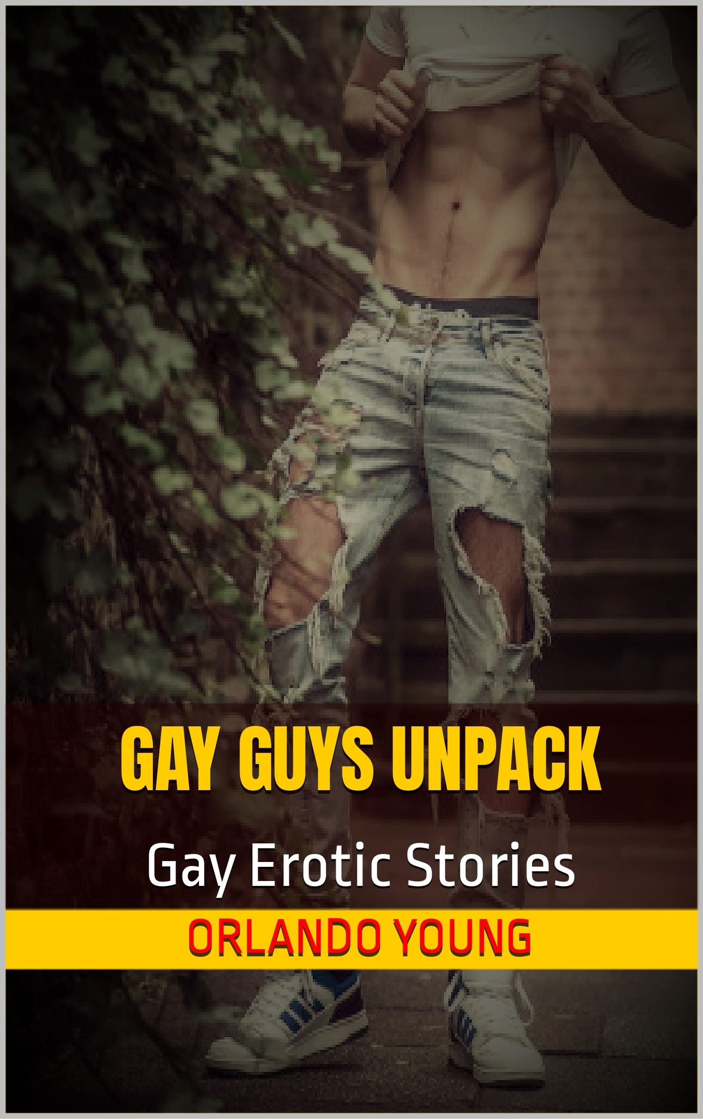 Gay guys unpack : Gay Erotic Stories - Orlando Young