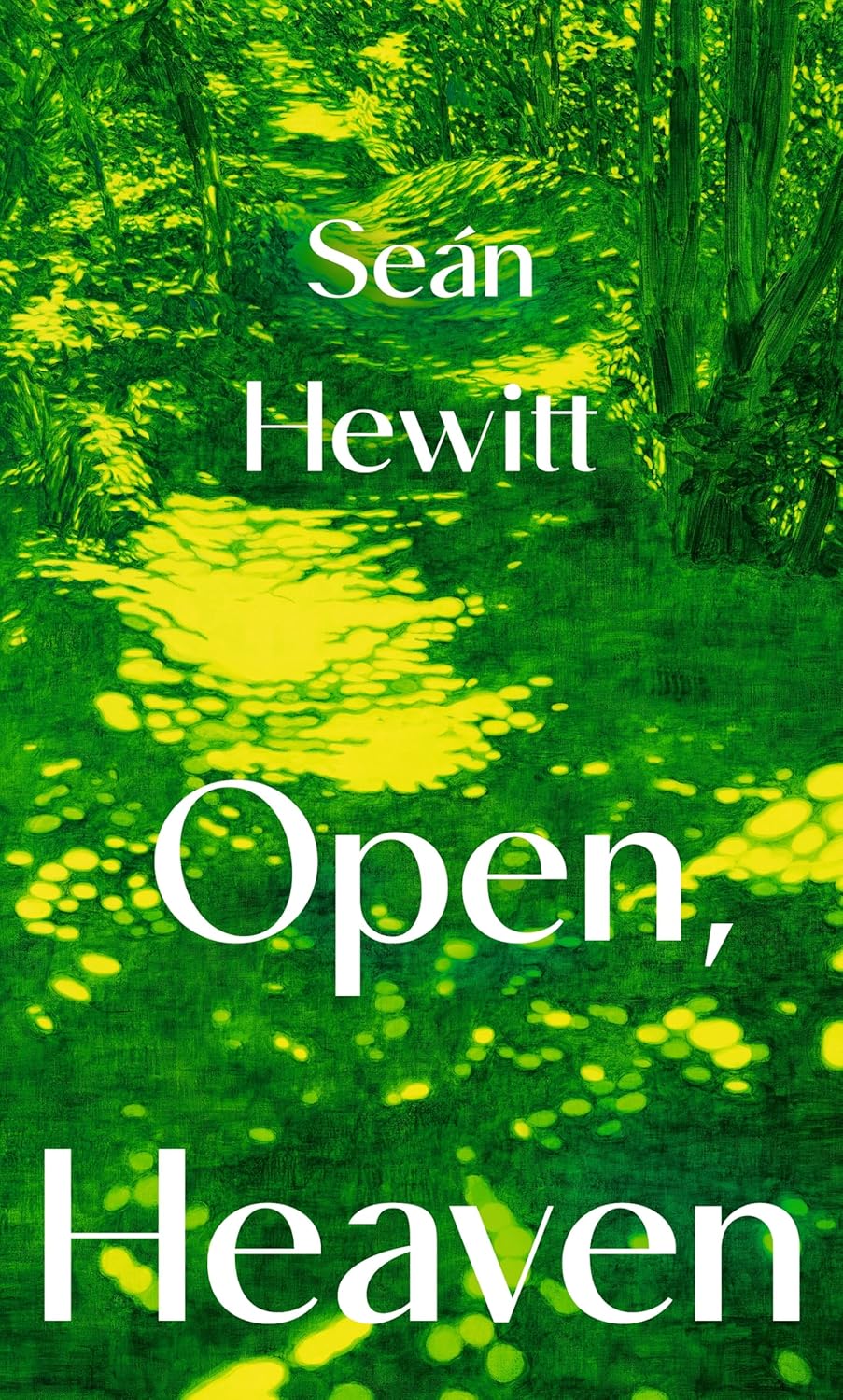 Open Heaven - Seán Hewitt