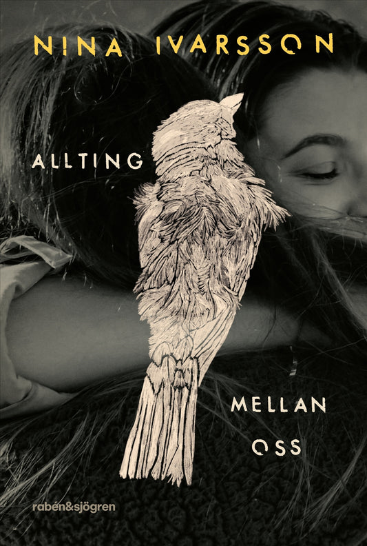 Allting mellan oss - Nina Ivarsson