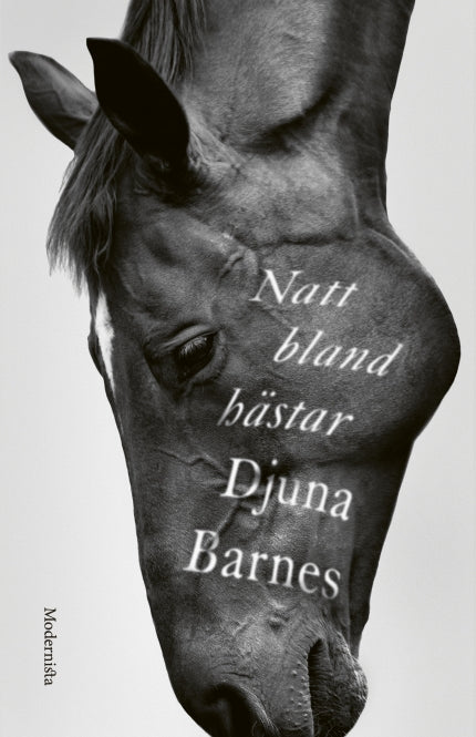 Natt bland hästar - Djuna Barnes