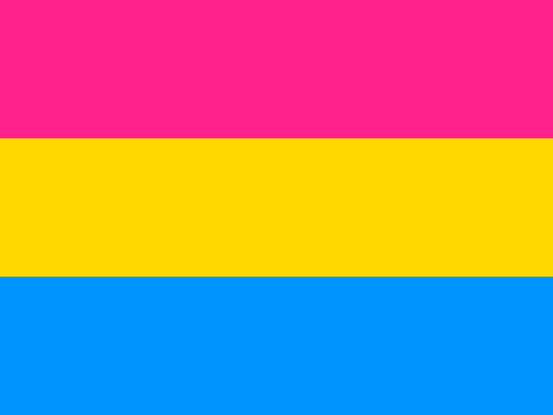 Flagga - Pansexuell (150x90)
