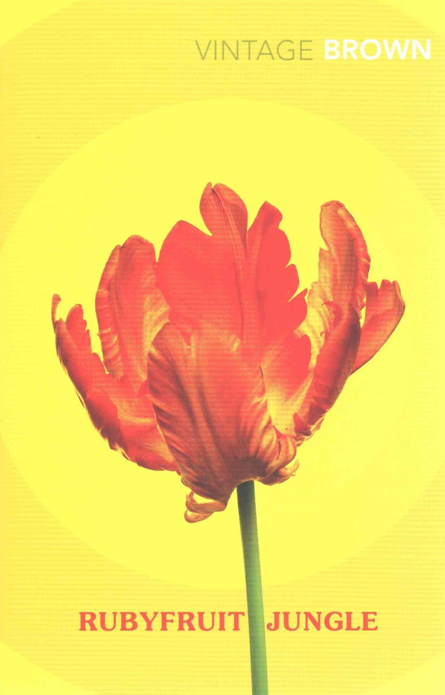 Rubyfruit Jungle - Brown, Rita Mae