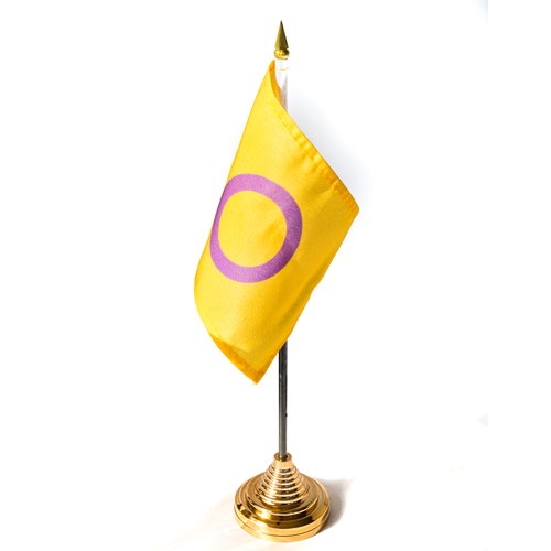 Flagga - Intersex (liten på pinne)