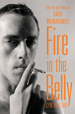 Fire in the Belly: The Life and Times of David Wojnarowicz - Cynthia Carr (used)