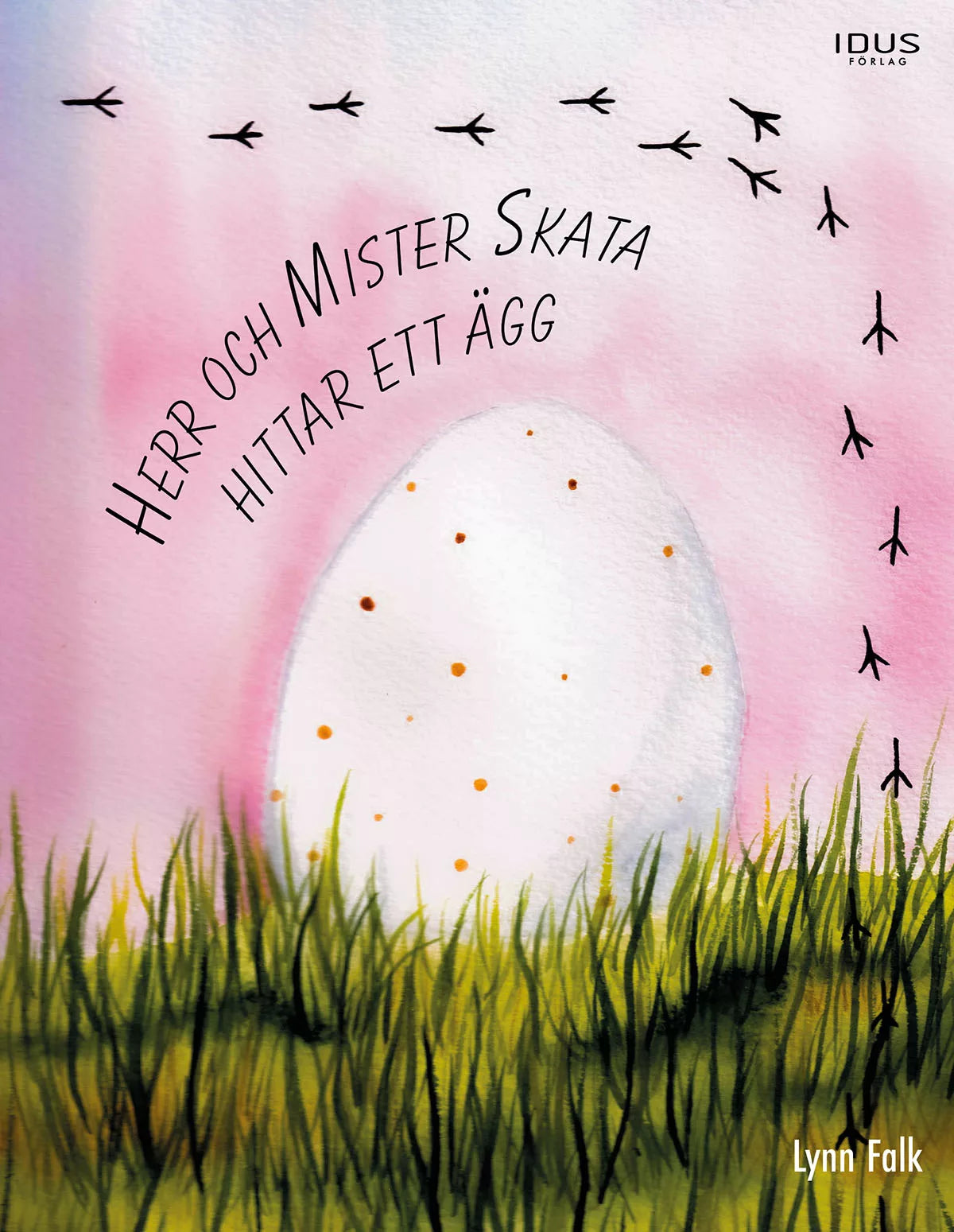Herr och Mister Skata hittar ett ägg - Lynn Falk