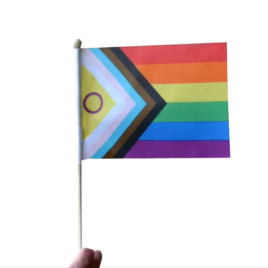 Liten intersex progress pride flagga på pinne