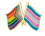 Progress Pride and Transgender Pin - Rainbowshop