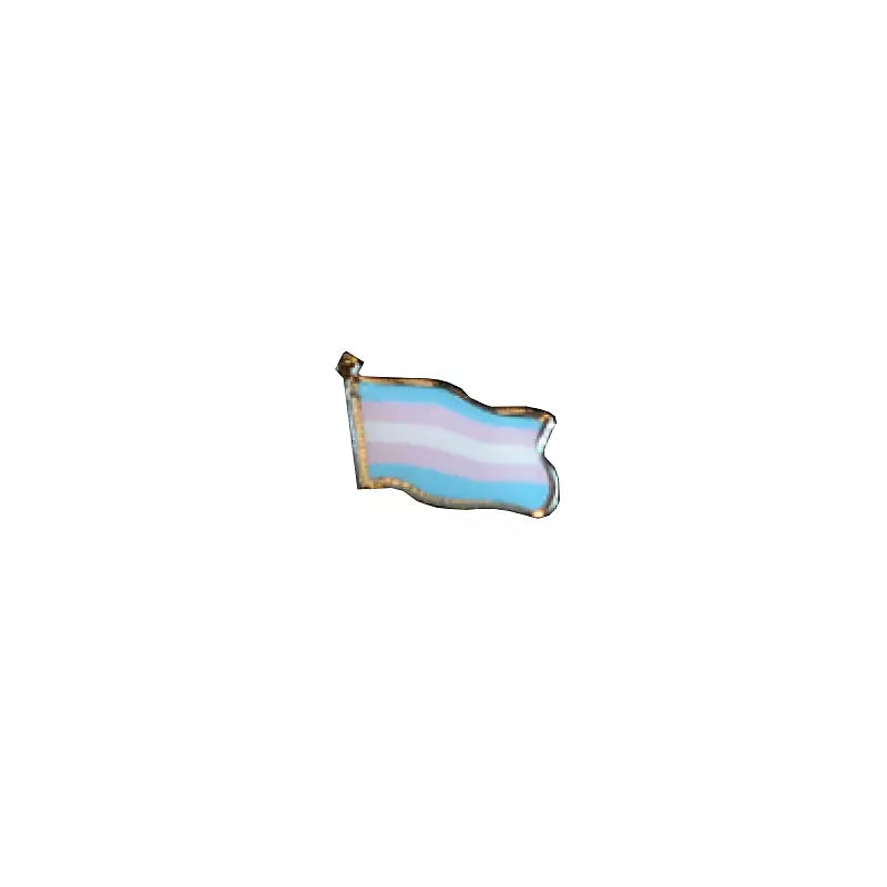 Pin flagga: trans - Happy Pride