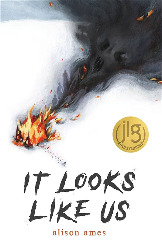 It Looks Like Us by Alison Ames