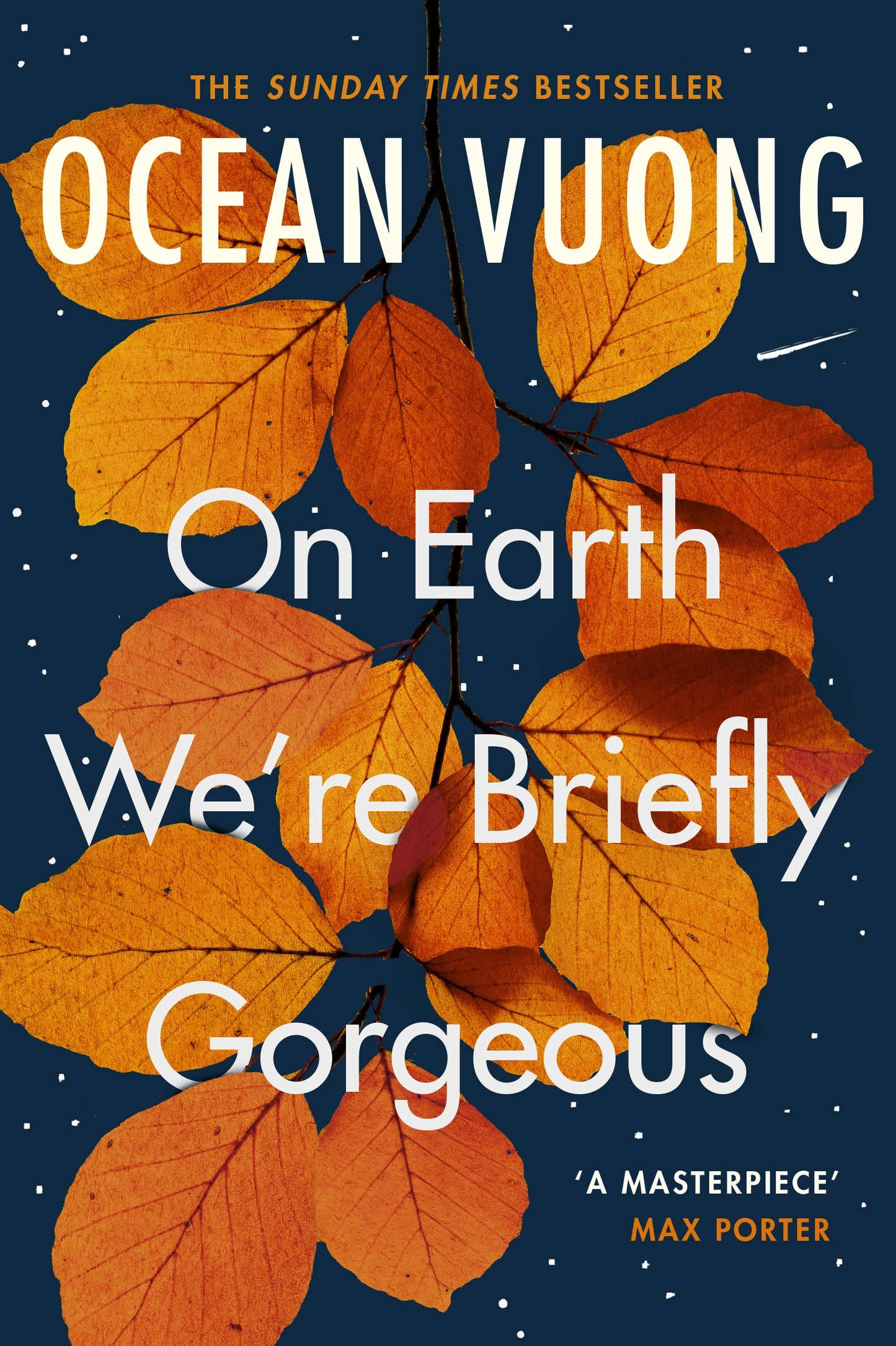 On earth we’re briefly gorgeous - Voung, Ocean