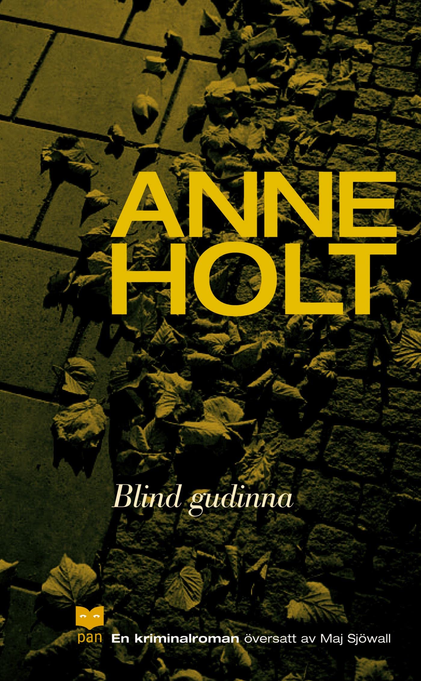 Blind gudinna - Holt, Anne