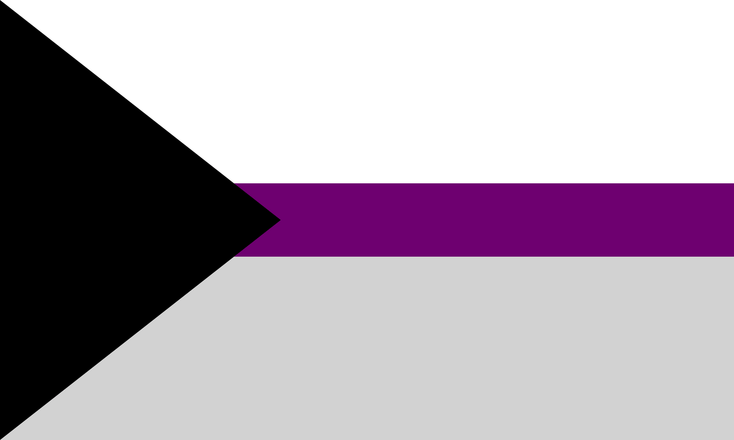 A demisexual flag with three stripes: white, purple and grey, with a black triangle on one side, pointing vertically.