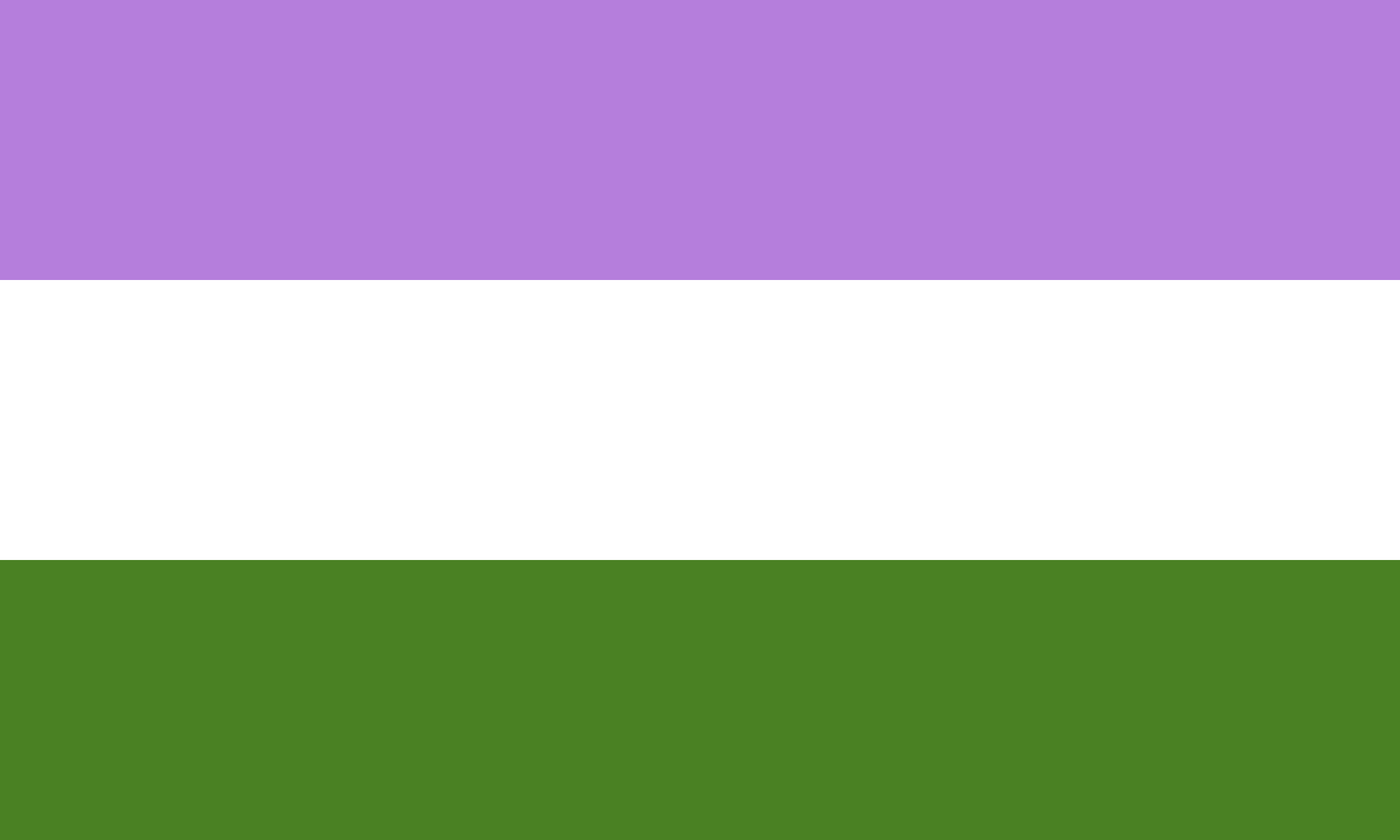 Genderqueer flag 150 x 90 cm