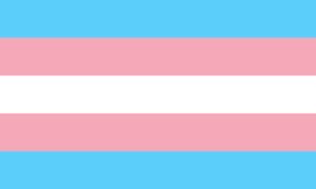 Trans Flag 150x90cm