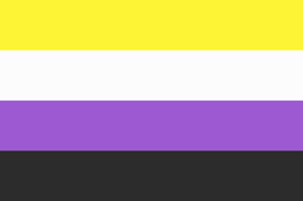 Non binary flag 150 x 90