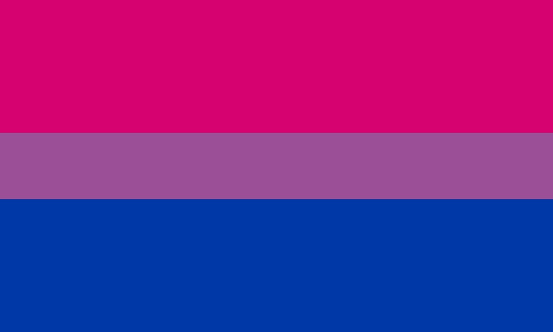 A bisexual flag with three stripes: dark pink, purple and dark blue.